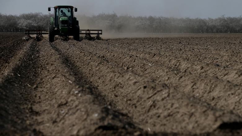 Preşedintele Klaus Iohannis a promulgat legea privind cumpărarea și vânzarea de terenuri agricole