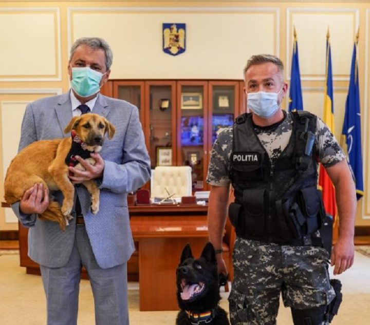 Apel de la MAI către iubitorii de animale