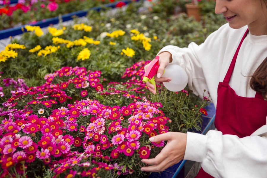 Transformă-ți grădina într-un paradis de flori: Ghid pentru amenajarea răsadurilor și îngrijirea plantelor