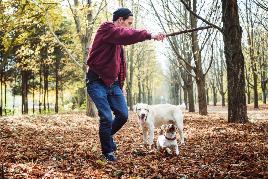 5 remedii naturale împotriva stresului și anxietății