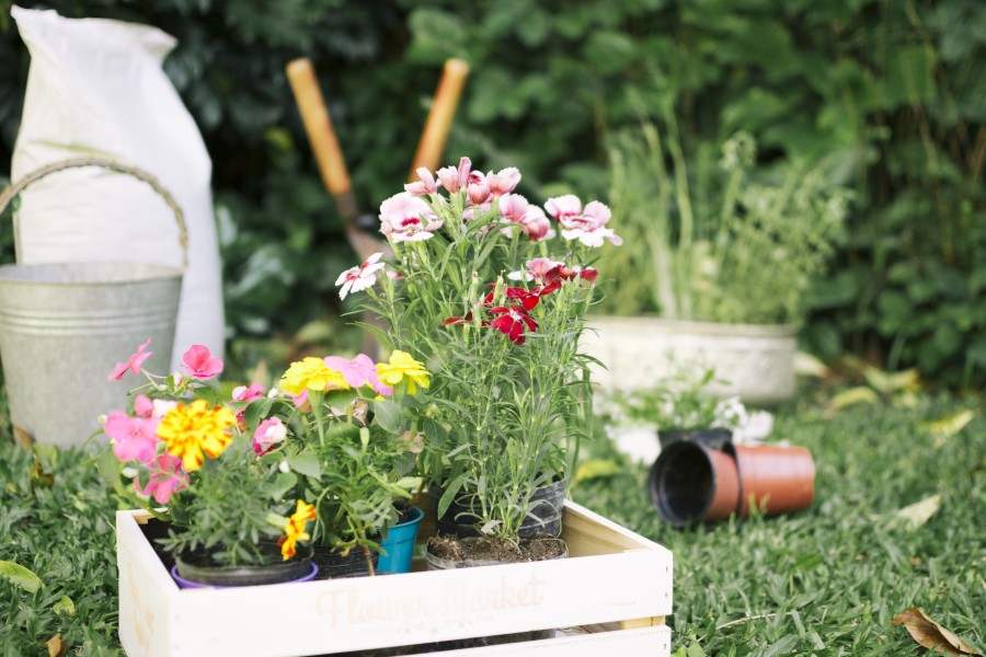 Idee pentru grădini în spații mici: Transformă-ți spațiul într-un colț verde de vis