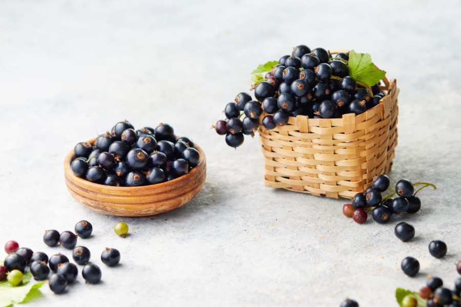 Coacăzele negre: Superfructe bogate în nutrienți și beneficii pentru sănătate