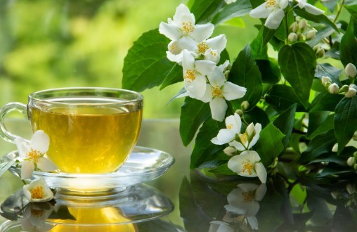 Ceai de iasomie: o plăcere aromatică cu beneficii pentru sănătate