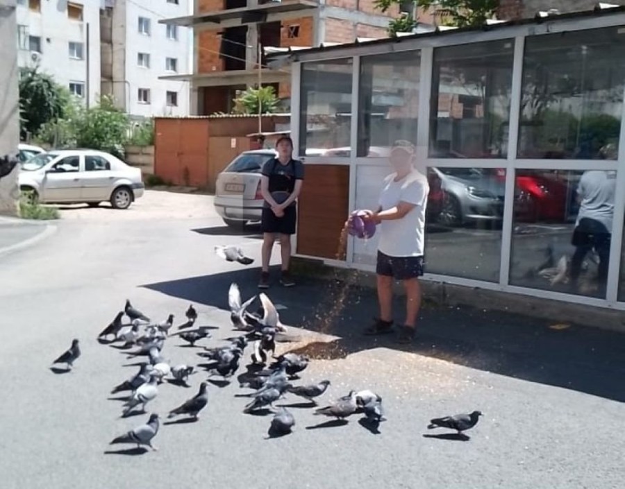 Hrănirea pe domeniul public a animalelor fără stăpân s-a lăsat, anul trecut, cu 15 sancțiuni; amenzile ajung până la 2.000 de lei (FOTO)