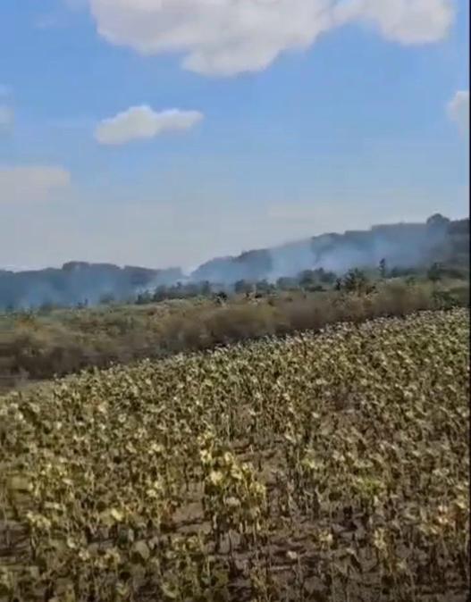 24 de hectare de vegetație uscată, mistuite de flăcări în județul Arad, în doar trei zile